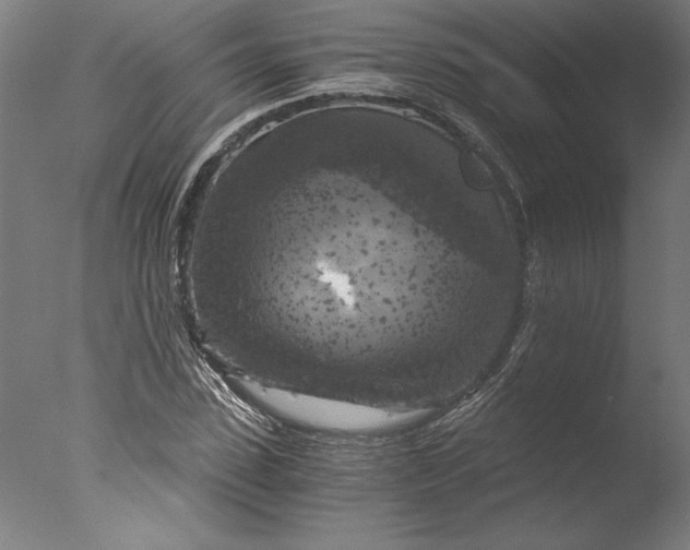 X0000076330923200610201701