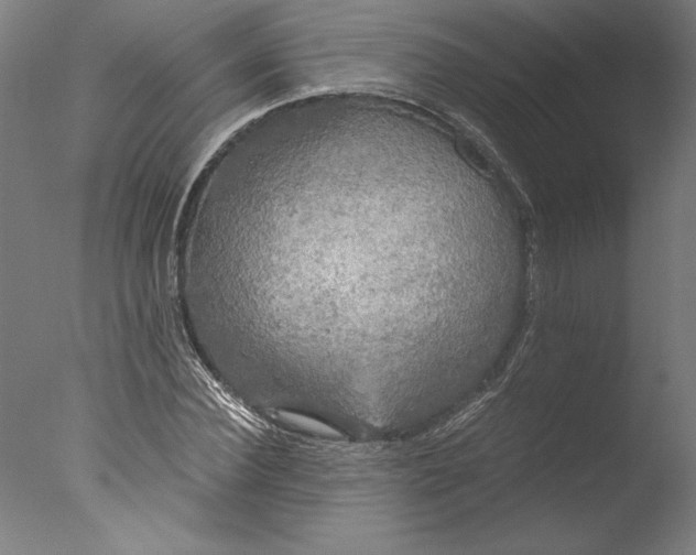 X0000076330924200610201701