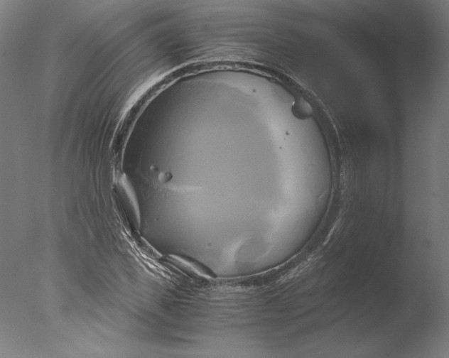 X0000076330925200610201701