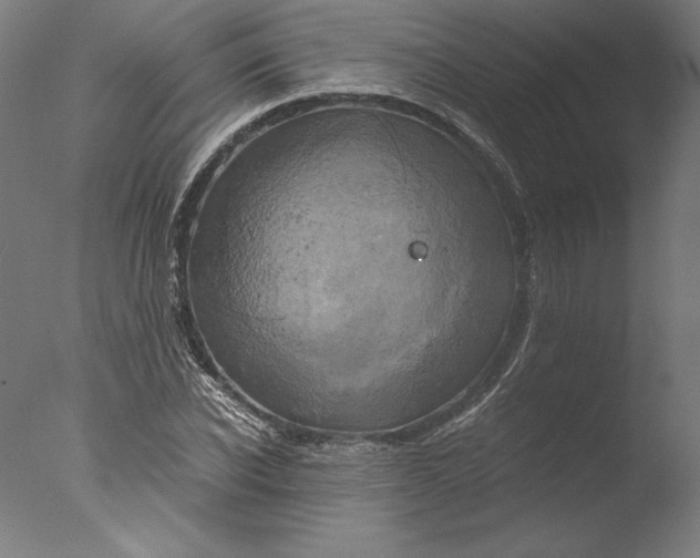 X0000076330926200610201701