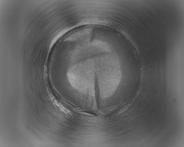 X0000076330928200610201701