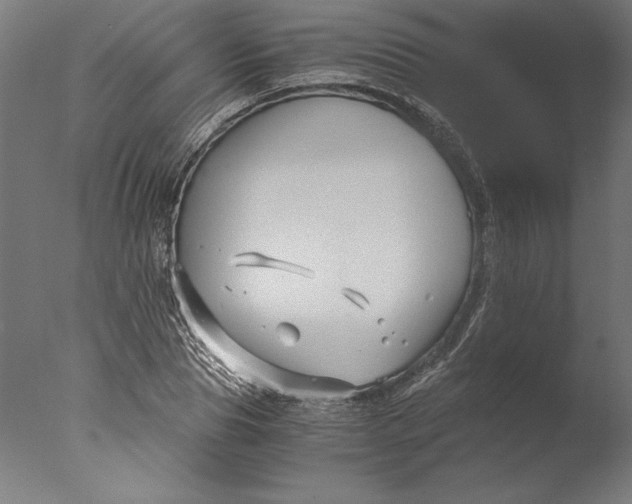 X0000076330929200610201701