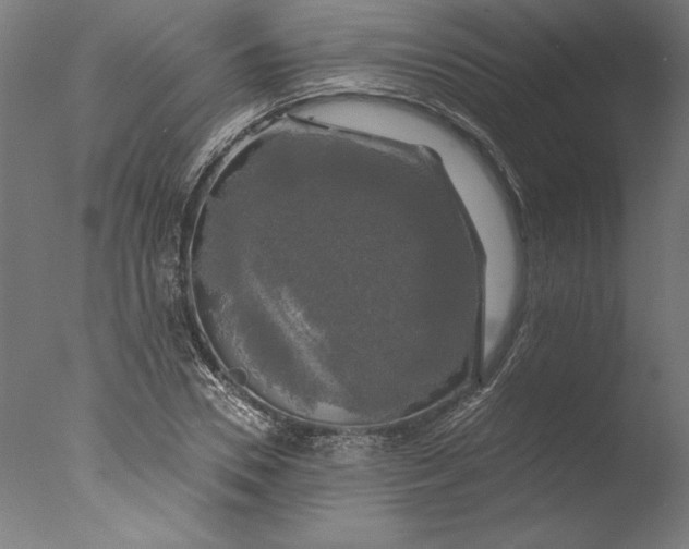 X0000076330930200610201701