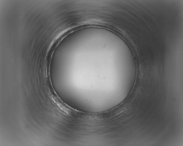 X0000076330931200610201701