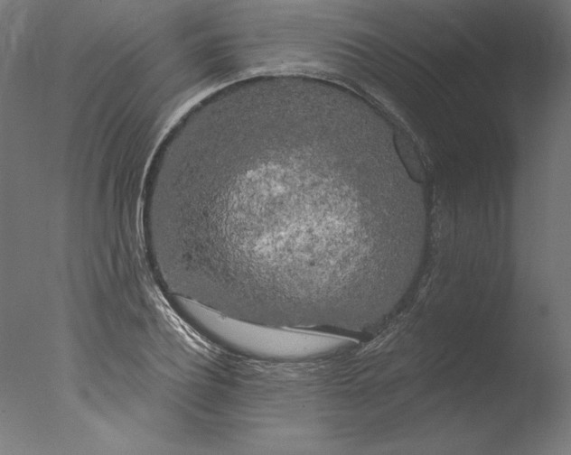 X0000076330932200610201701