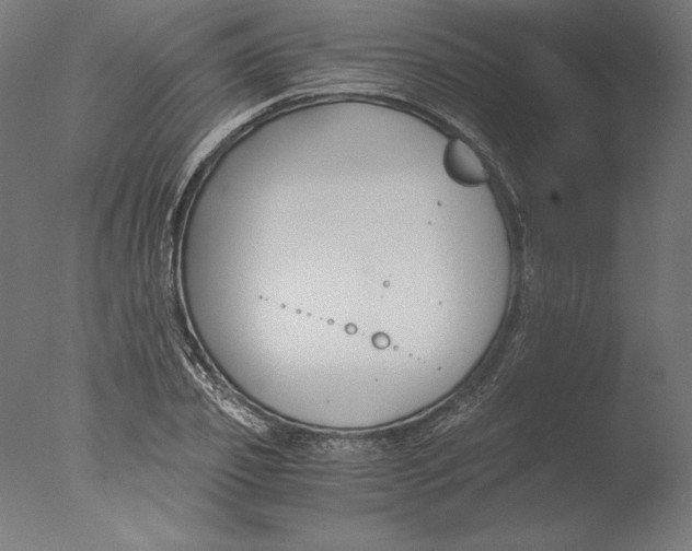 X0000076330933200610201701