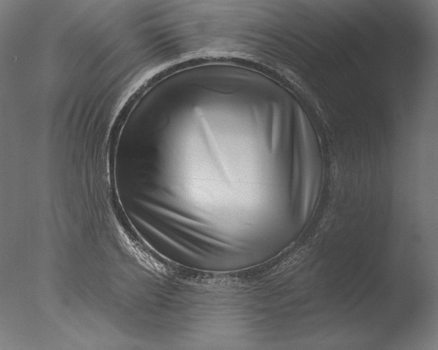 X0000076330934200610201701