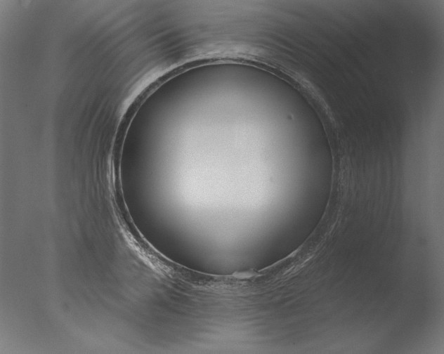 X0000076330936200610201701