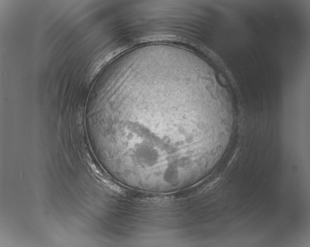 X0000076330937200610201701