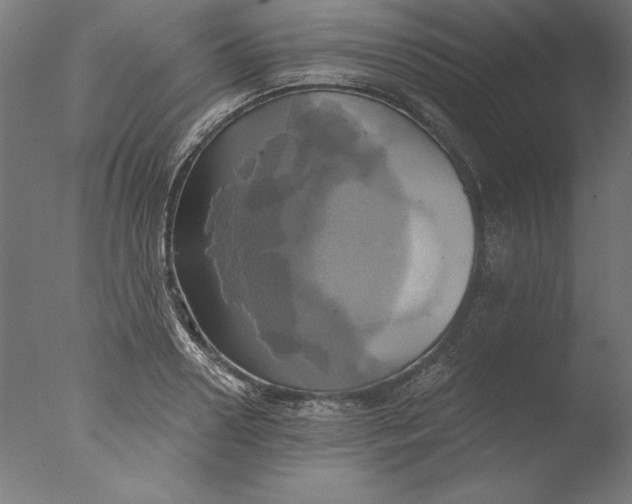 X0000076330938200610201701