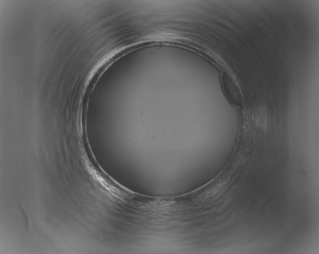 X0000076330939200610201701