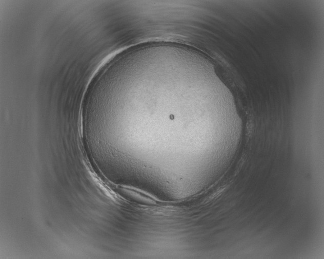 X0000076330940200610201701