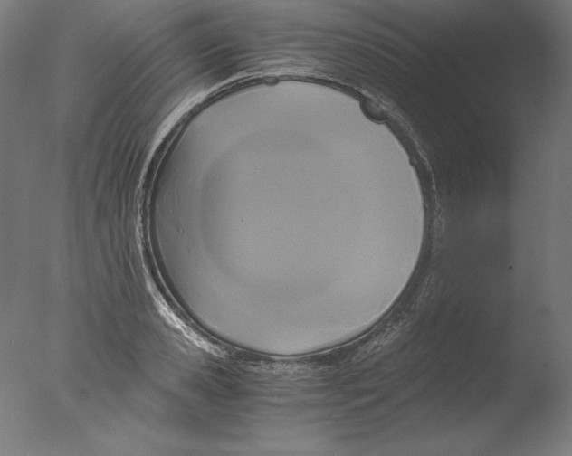 X0000076330941200610201701