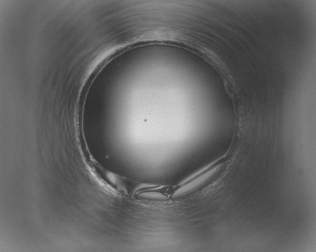 X0000076330942200610201701