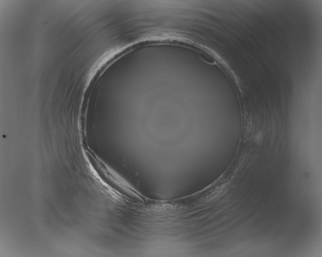 X0000076330943200610201701