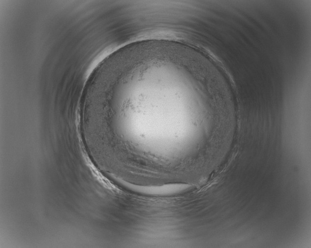 X0000076330944200610201701