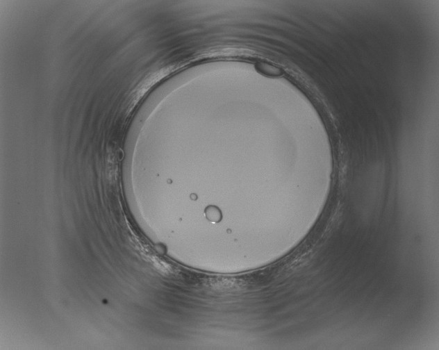 X0000076330945200610201701