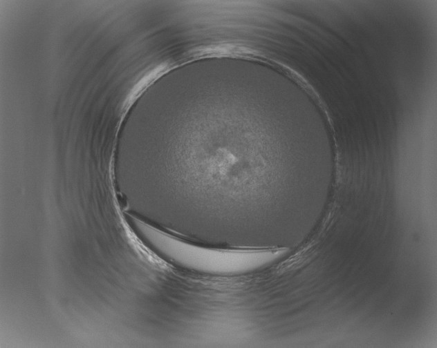 X0000076330946200610201701