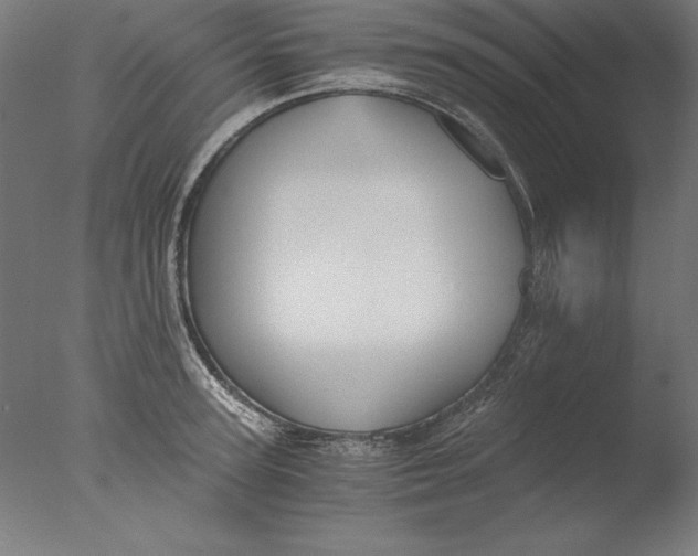 X0000076330947200610201701