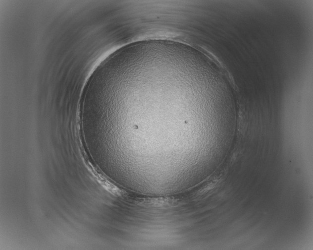 X0000076330948200610201701