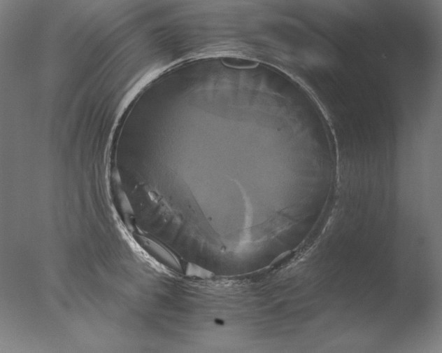 X0000076330949200610201701