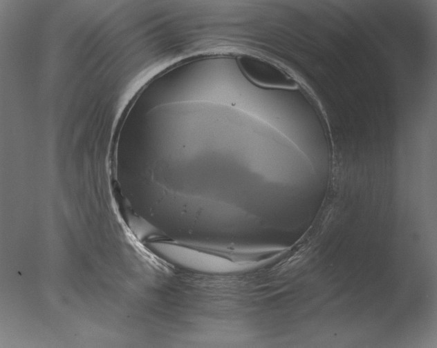 X0000076330951200610201701