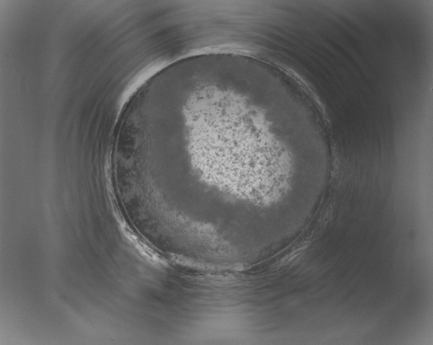 X0000076330952200610201701