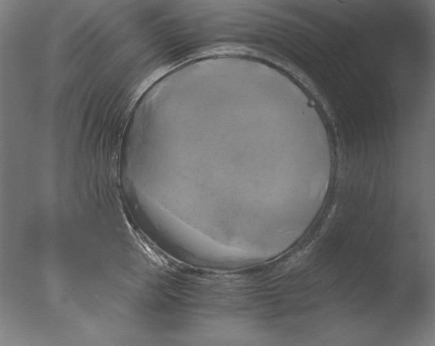 X0000076330953200610201701