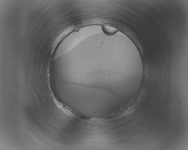 X0000076330954200610201701