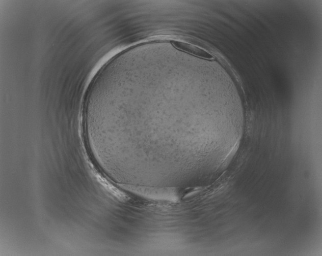 X0000076330955200610201701