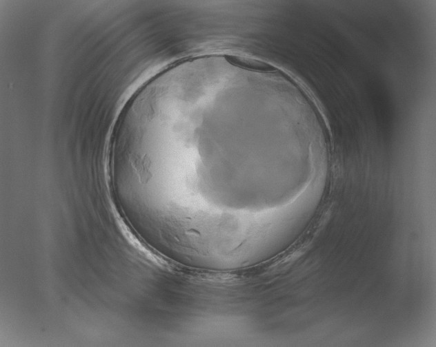 X0000076330957200610201701