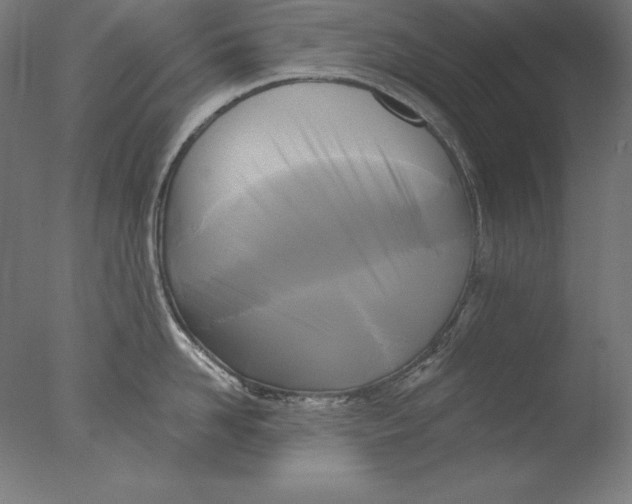 X0000076330958200610201701