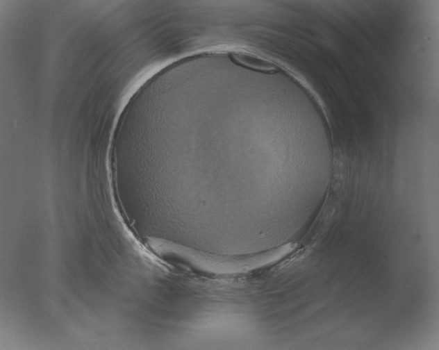 X0000076330959200610201701