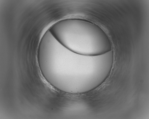 X0000076330960200610201701