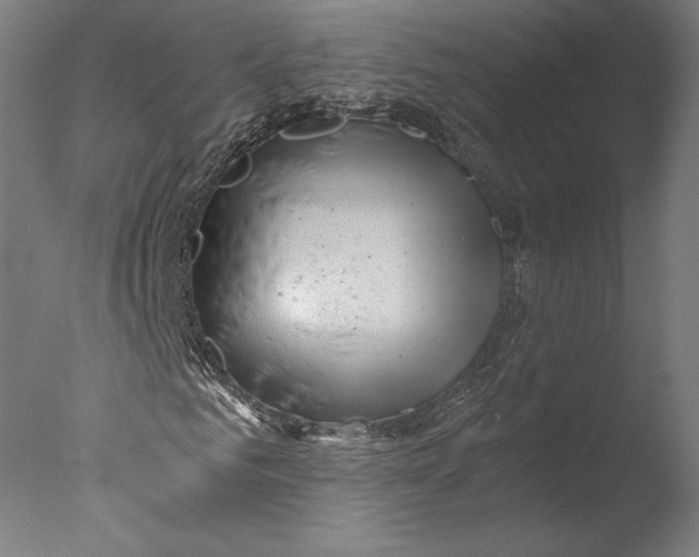 X0000076330961200610201700