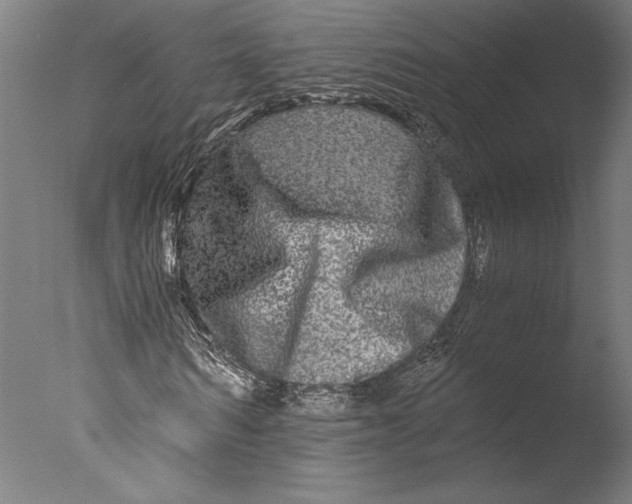 X0000076330962200610201700