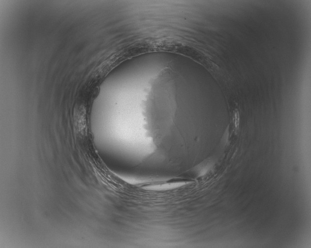 X0000076330963200610201700