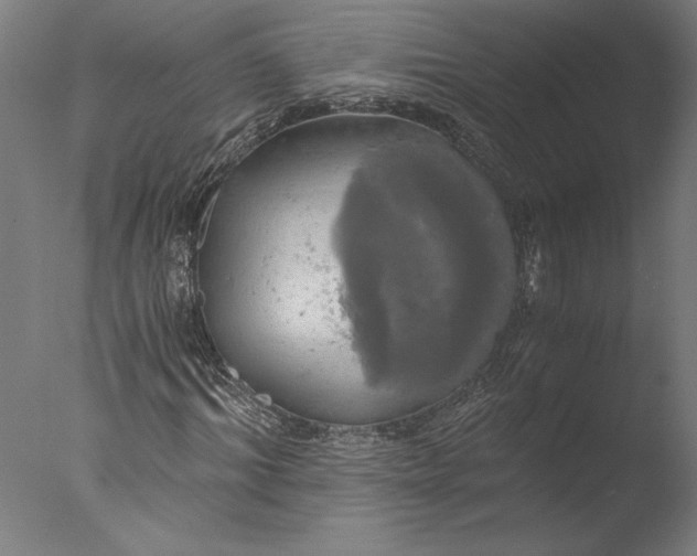 X0000076330964200610201700