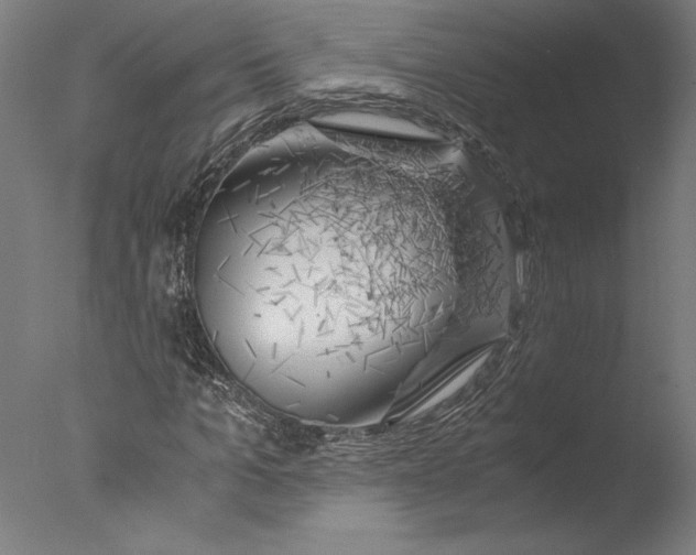 X0000076330965200610201700