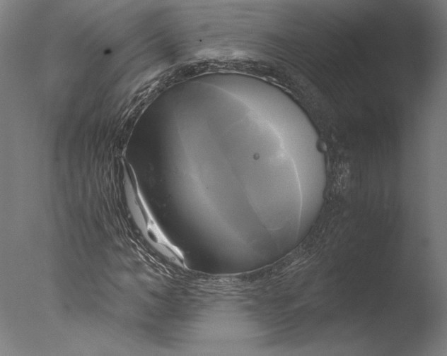 X0000076330966200610201700