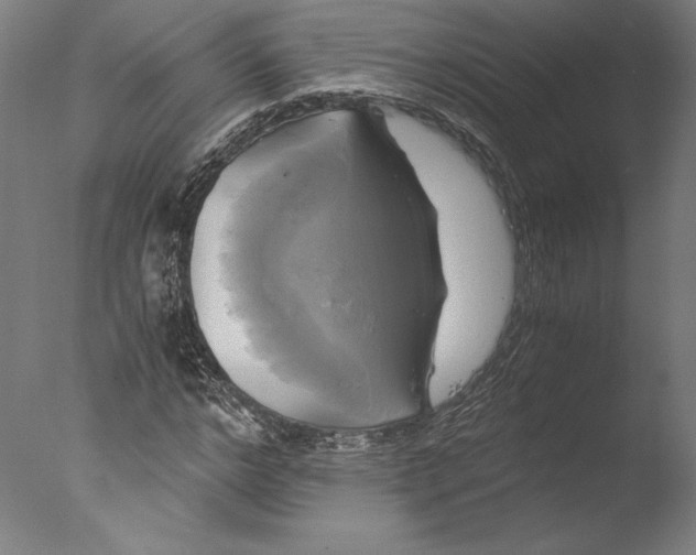 X0000076330968200610201700