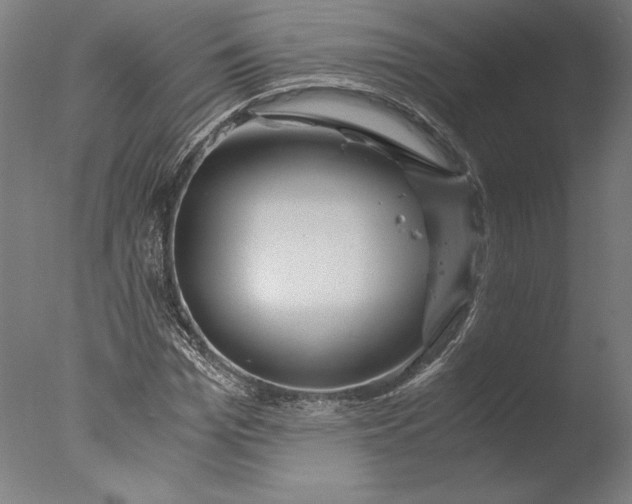 X0000076330969200610201700