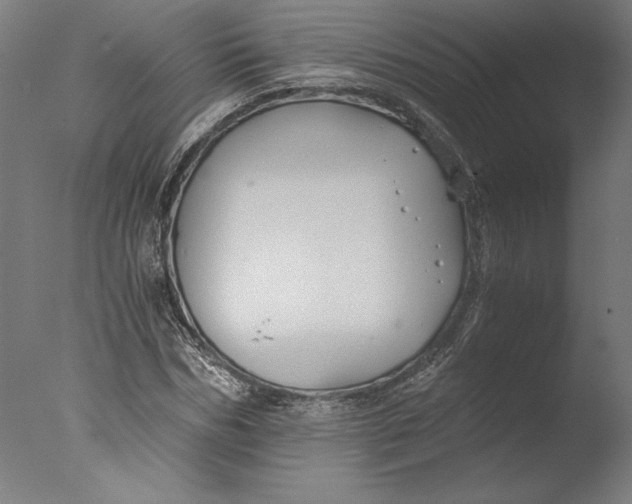 X0000076330970200610201700