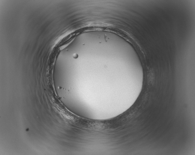 X0000076330971200610201700