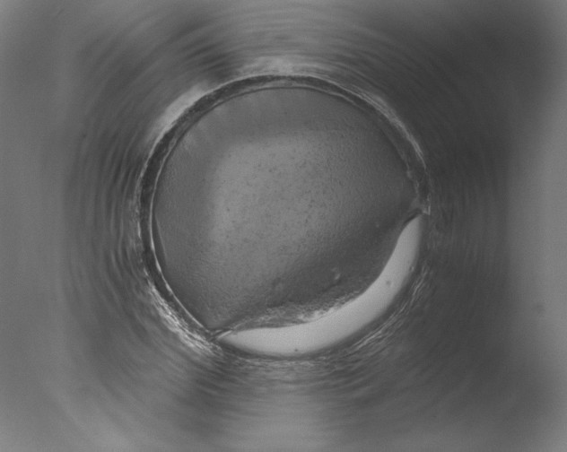 X0000076330972200610201700