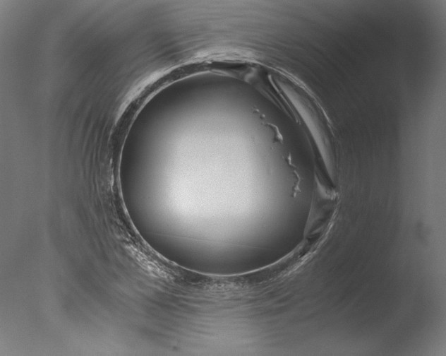 X0000076330973200610201700