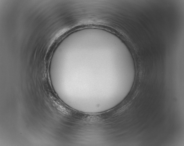 X0000076330974200610201700