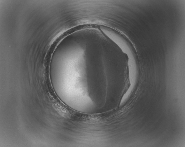 X0000076330975200610201700