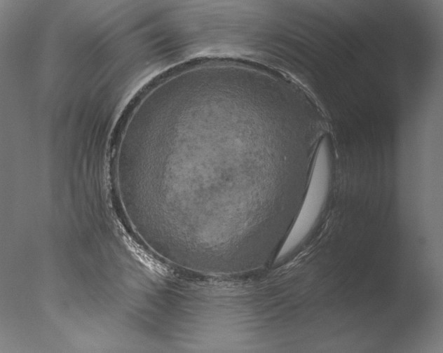 X0000076330976200610201700