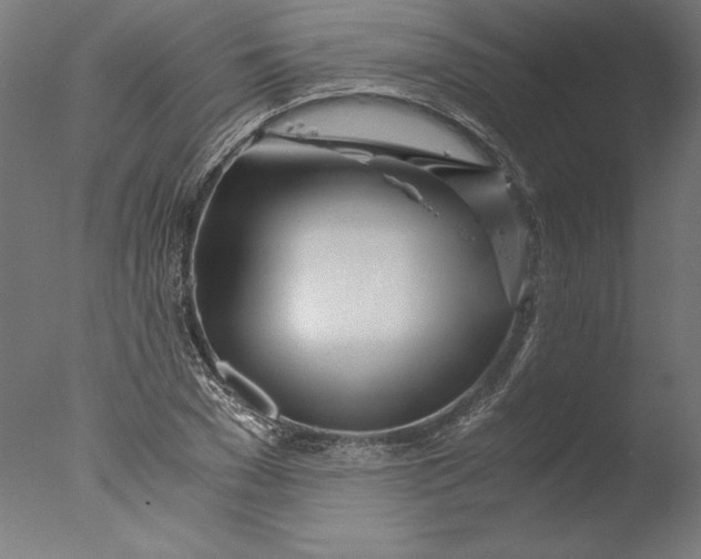 X0000076330977200610201700